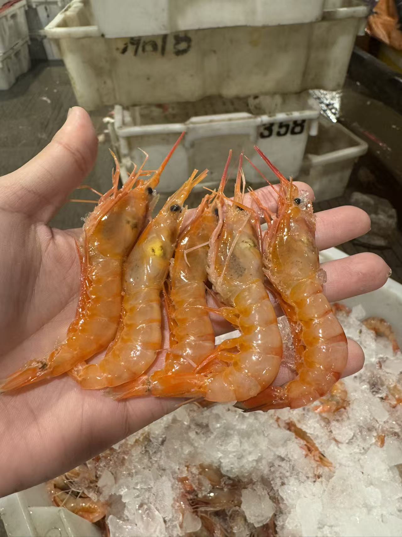 【东海野生红虾4斤】三大金红虾深海海捕新鲜上岸顺丰包邮