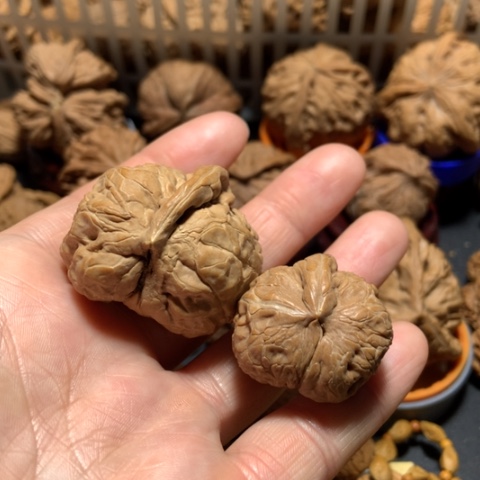 核桃鲜****u一个棱两个