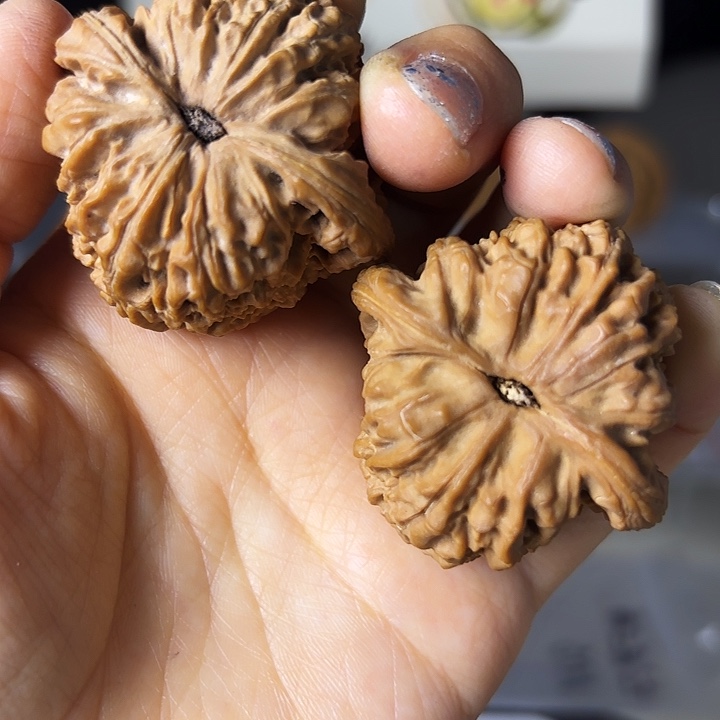 给***麦南疆石狮子头一对