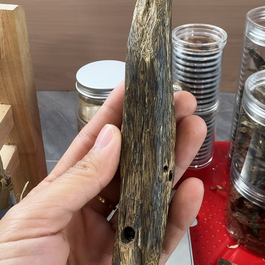 香料绿奇楠虫漏乌身圆叶18克