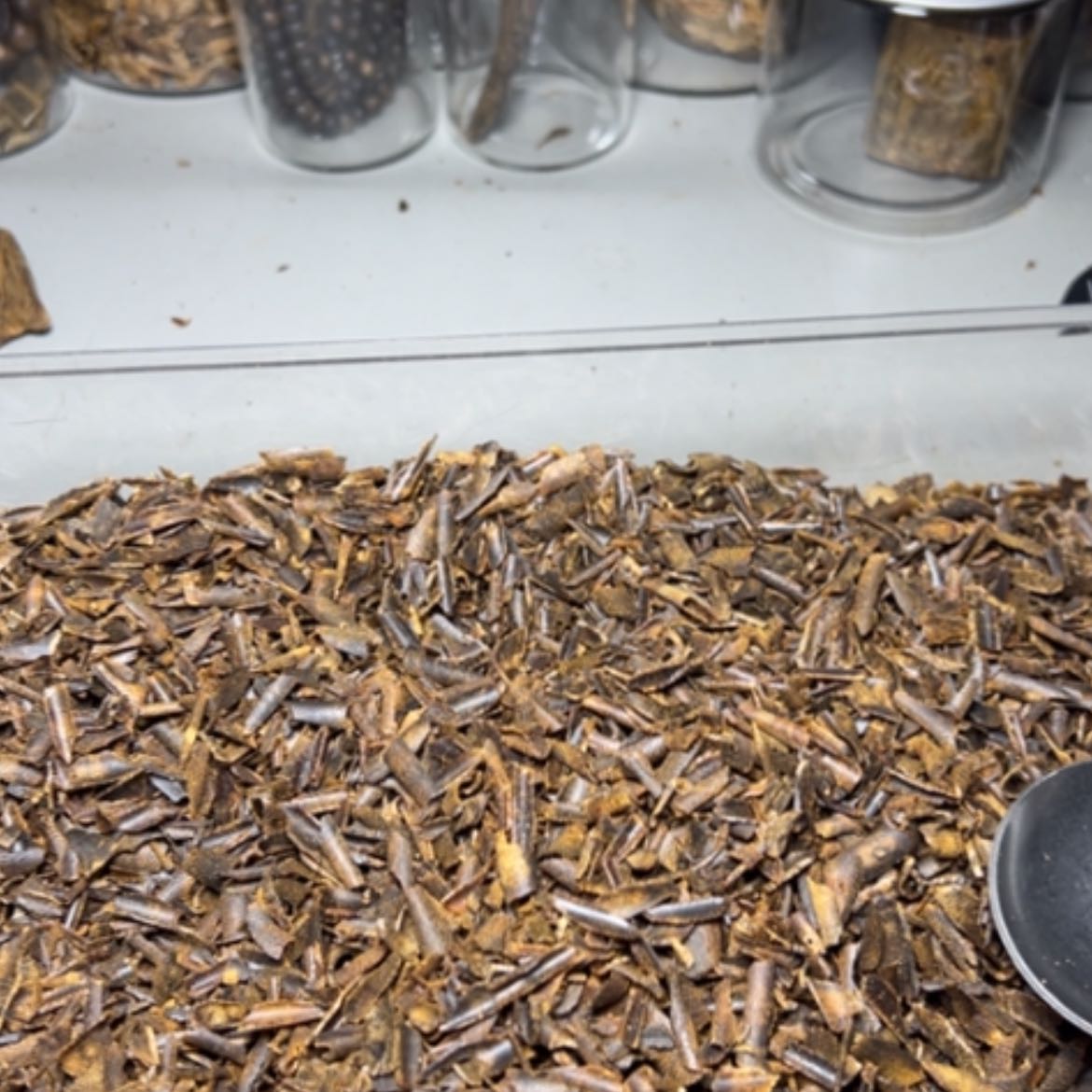 【闪购商品】树脂制品中*暖原母树切片30克