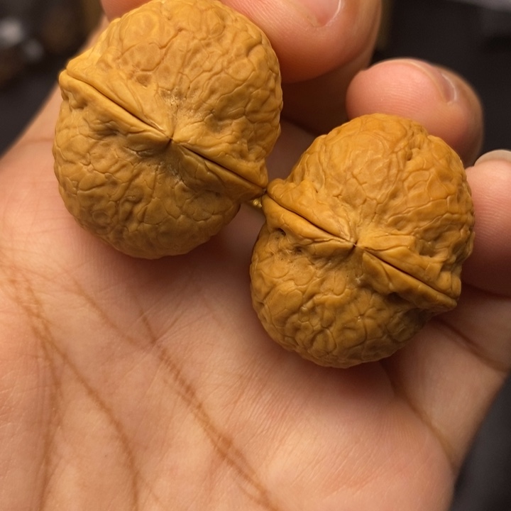 把件文玩核桃32尺寿星元宝