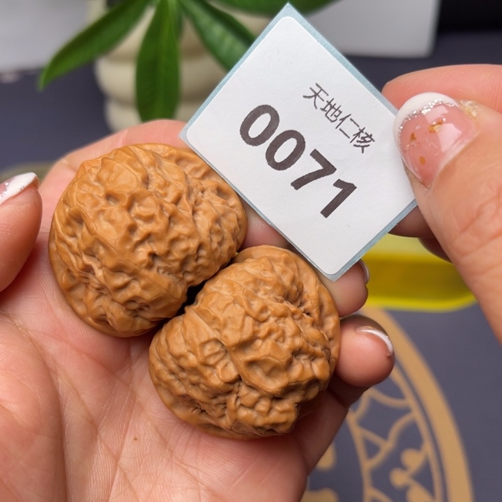 文玩核桃把件39蛤蟆71