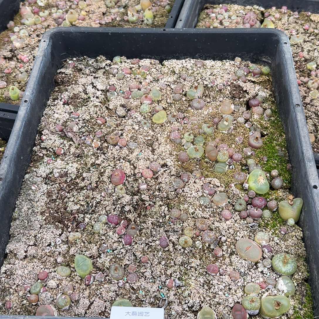 清框脱土发。     132