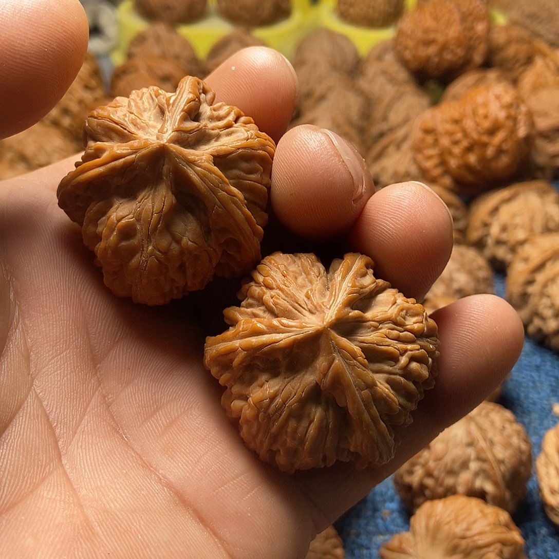 D***x文玩核桃把件文山三棱