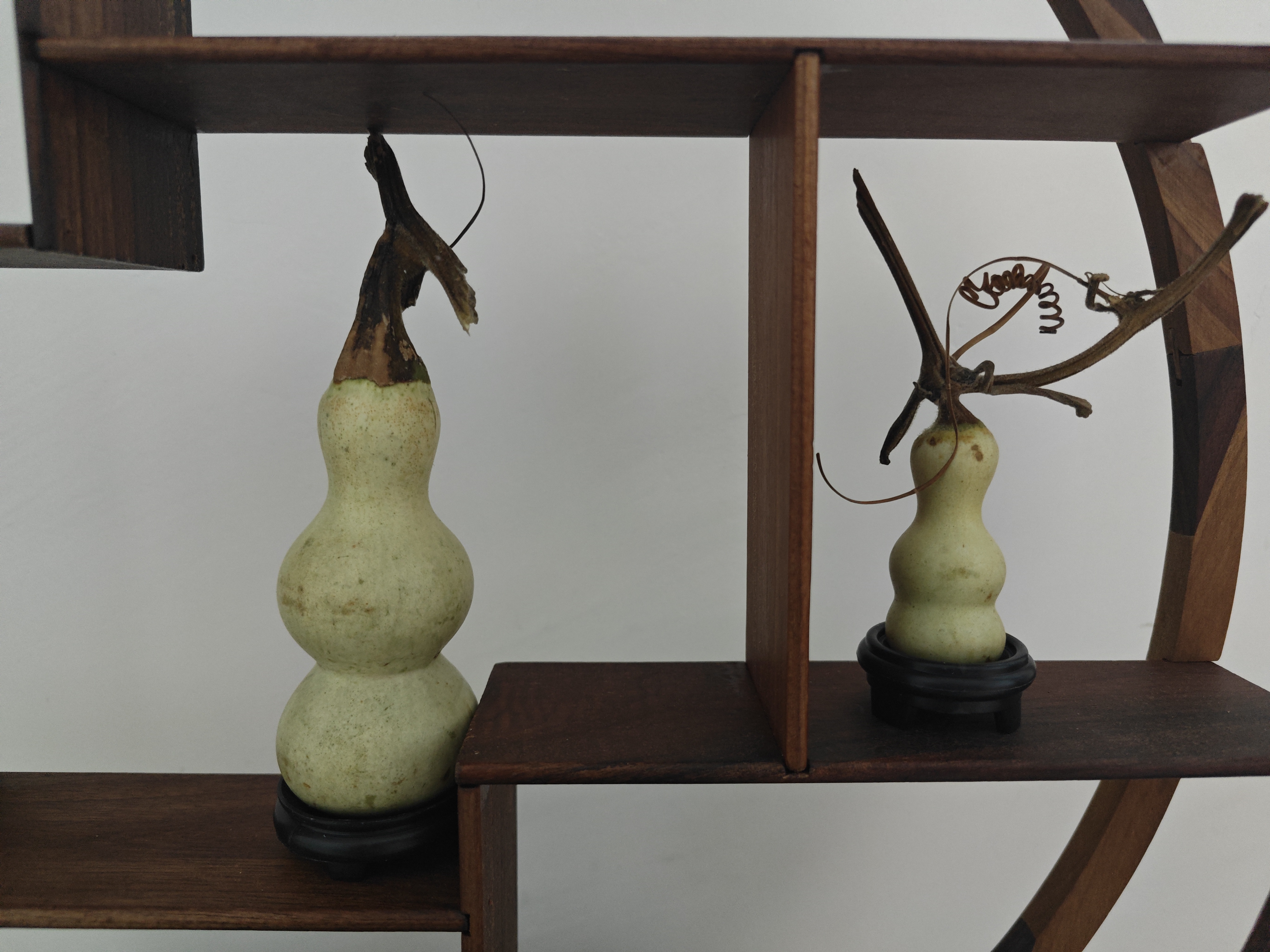 垚垚葫芦专属连拍（直播间一物一拍）