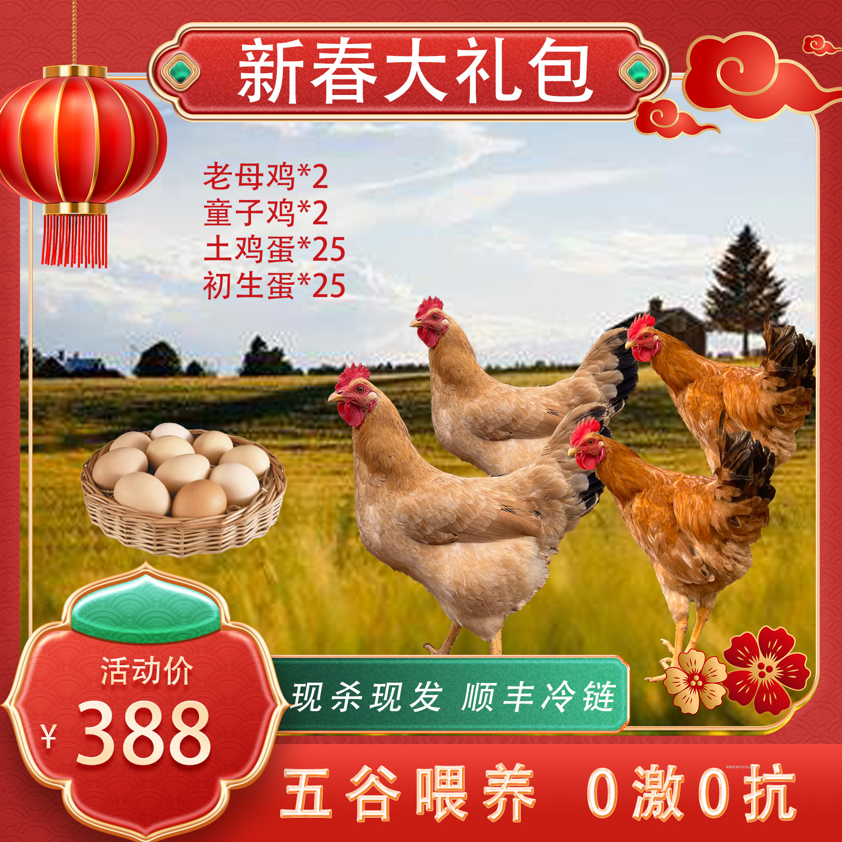 【土鸡土蛋大礼包】农家散养走地老母鸡童子鸡共4只散养土鸡蛋50枚
