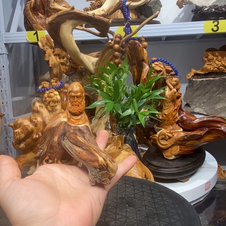 柏木（崖柏）崖柏111111111111