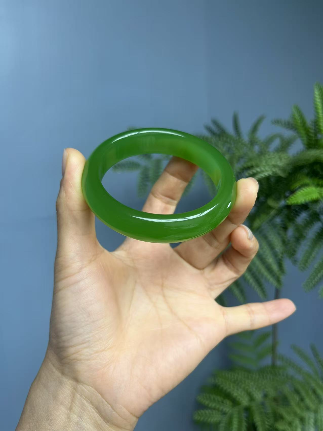 高货冰阳正圈手镯