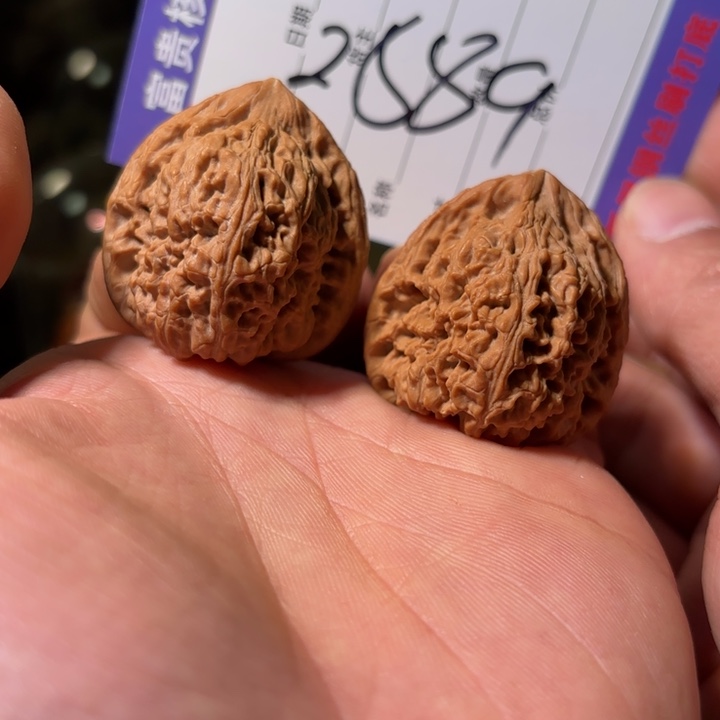 涿鹿南疆人正三角一对