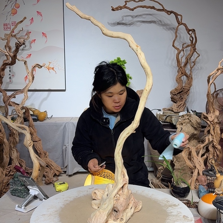 ****风杜鹃根的叶上长有