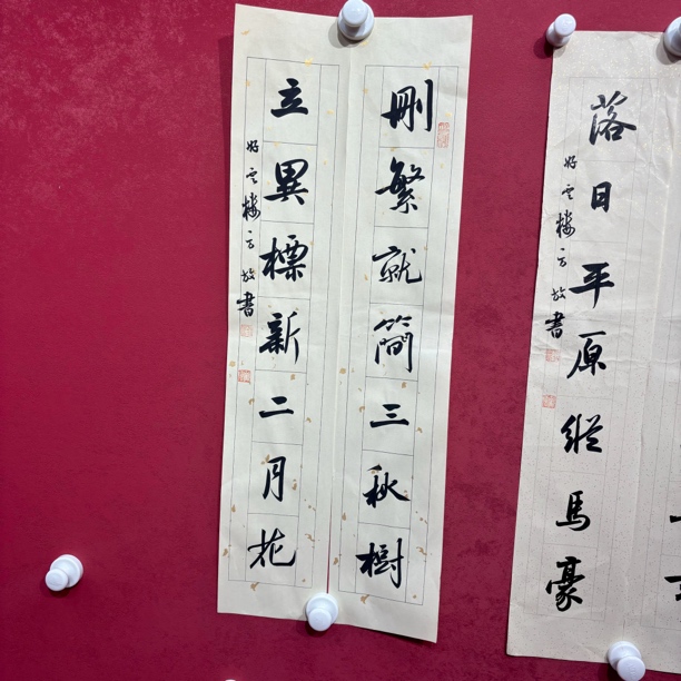 精品书画作品111