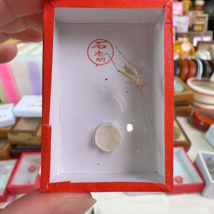 漂亮合适中长须合适