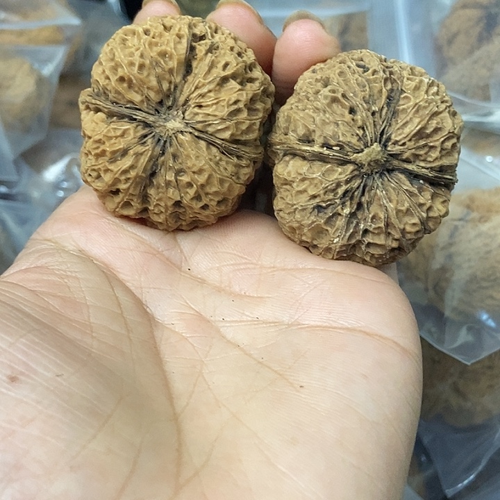 把件文玩核桃云南铁核桃基地42