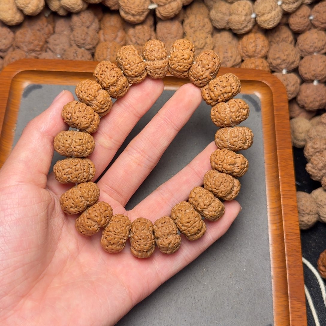 2号尼泊尔大金刚20五星满肉蜂王夹板手持