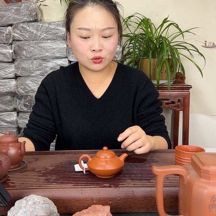 紫砂茶壶宜兴紫砂