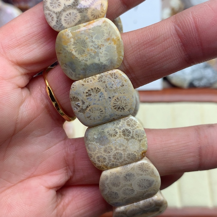 硅化珊瑚（珊瑚玉）颈饰未镶嵌