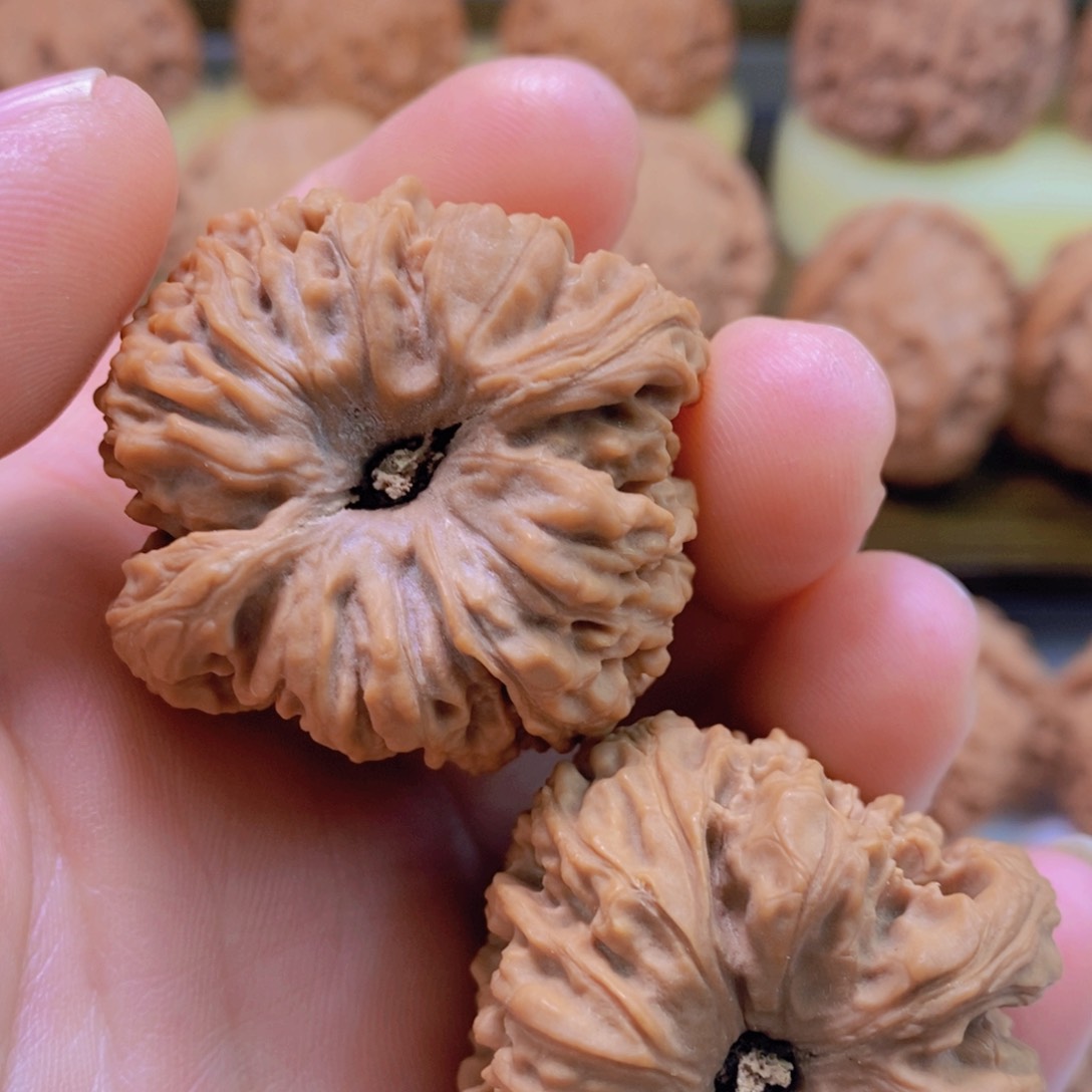 文玩核桃把件渣*拉