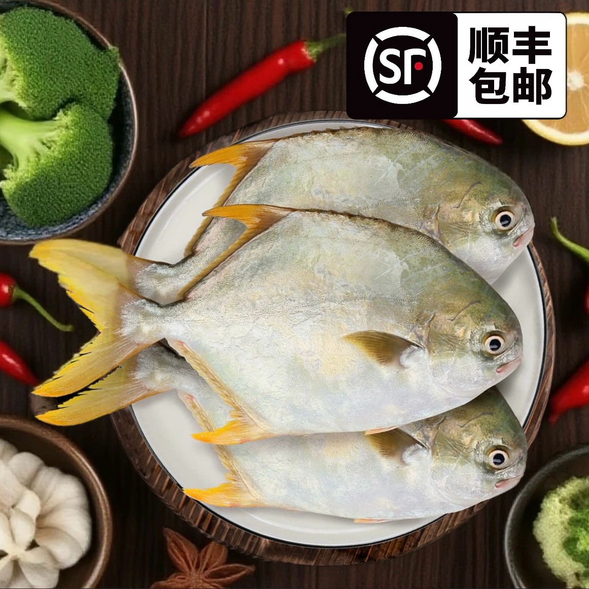 深海金鲳鱼鲜活捕捞上岸即发海金昌广东阳江顺丰包邮