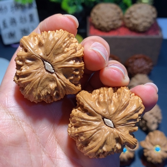 文玩核桃把件文玩白狮子5