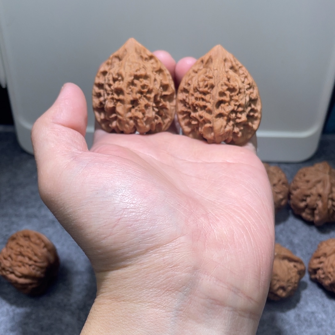 核桃45尺麒麟纹大官帽核桃