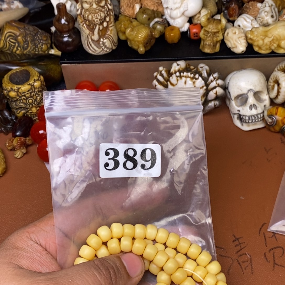 其他驼骨人工样子