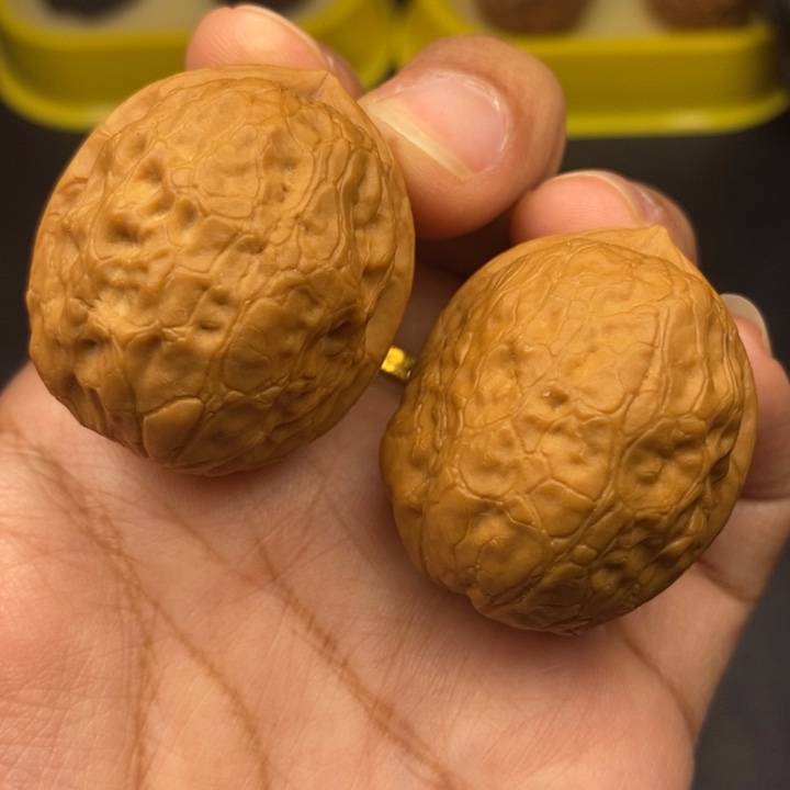 文玩核桃吊坠37尺金龟玉甲