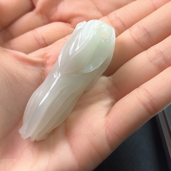 和田玉未镶嵌吊坠(不含链)龙****3