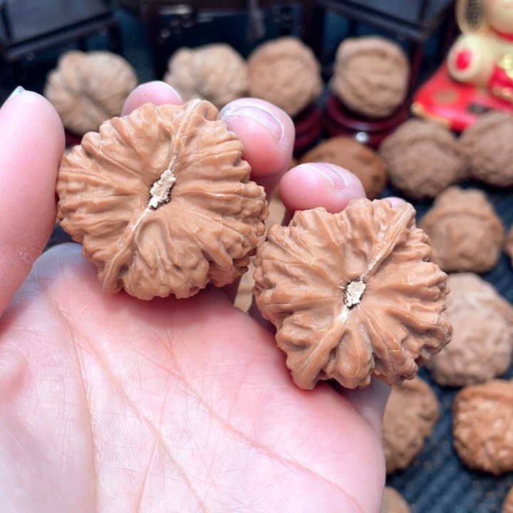 君**也原装平谷凹底4.0全品无修，一只尖微嘣茬