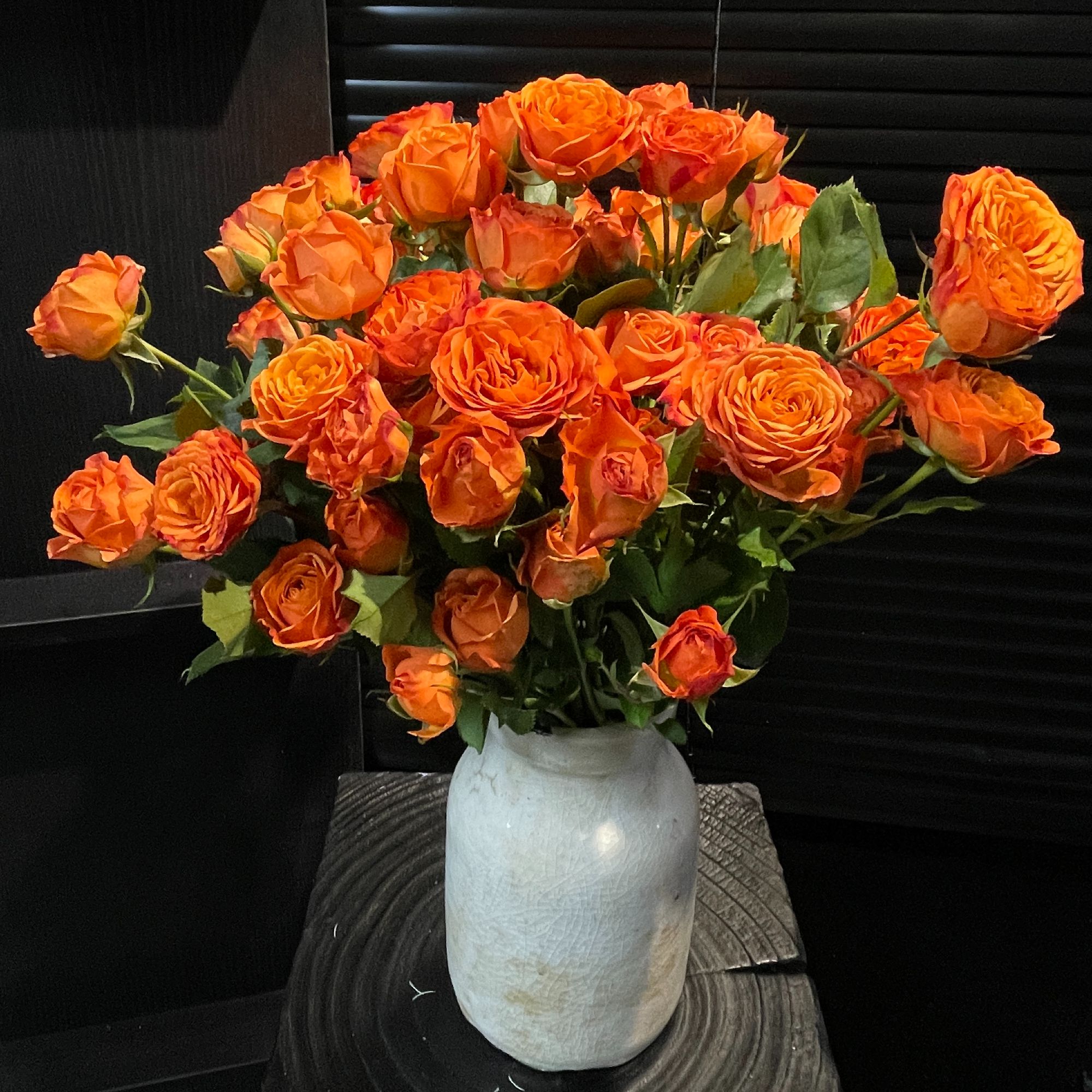 橙色芭比多头玫瑰