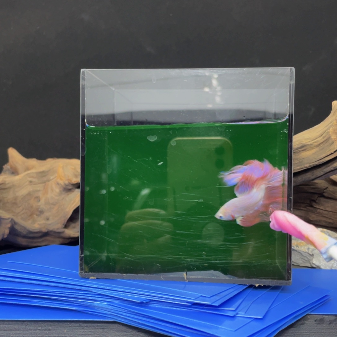 海水哈哈哈哈哈哈哈哈哈哈哈哈