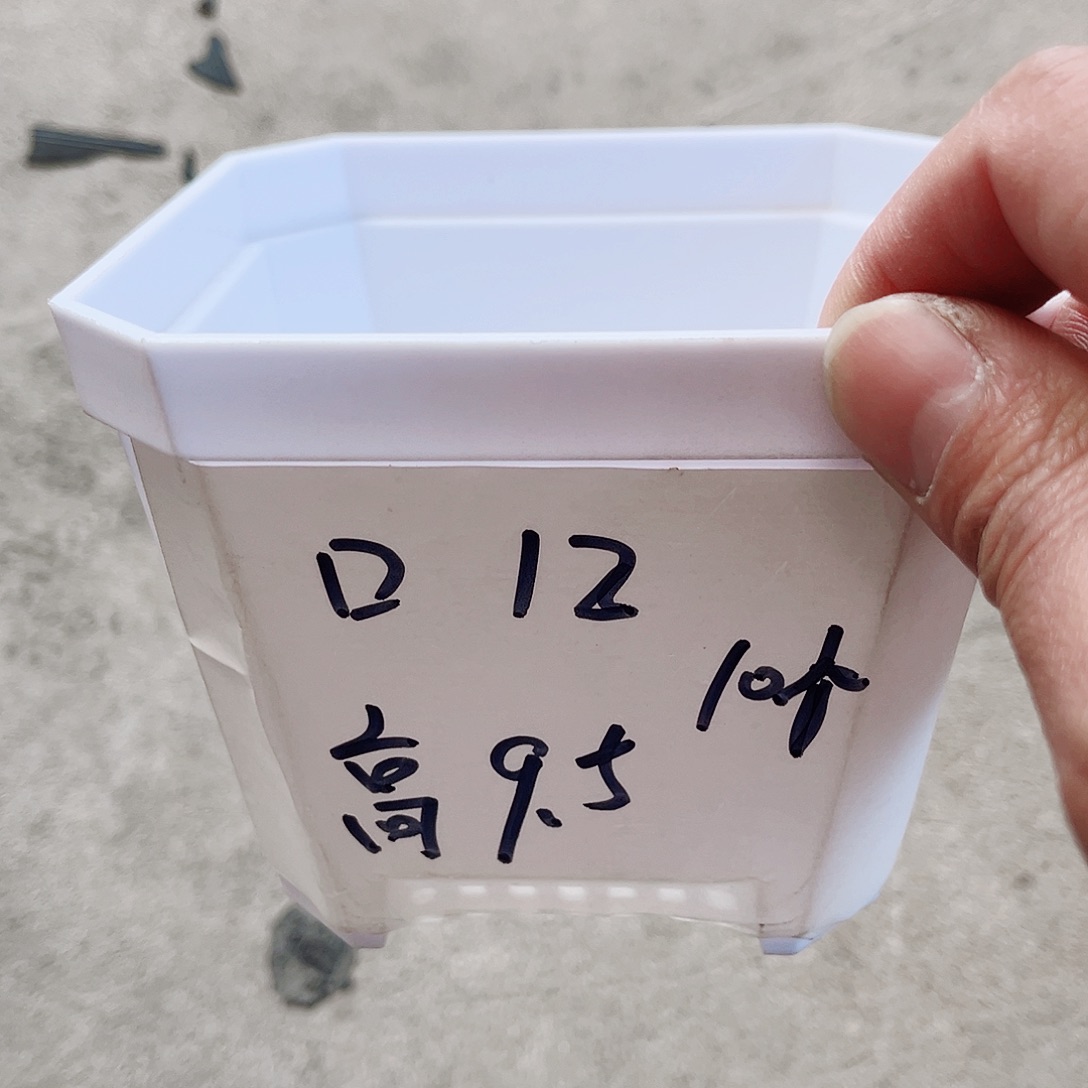 塑料加厚斜角款12方白色盆10个无托
