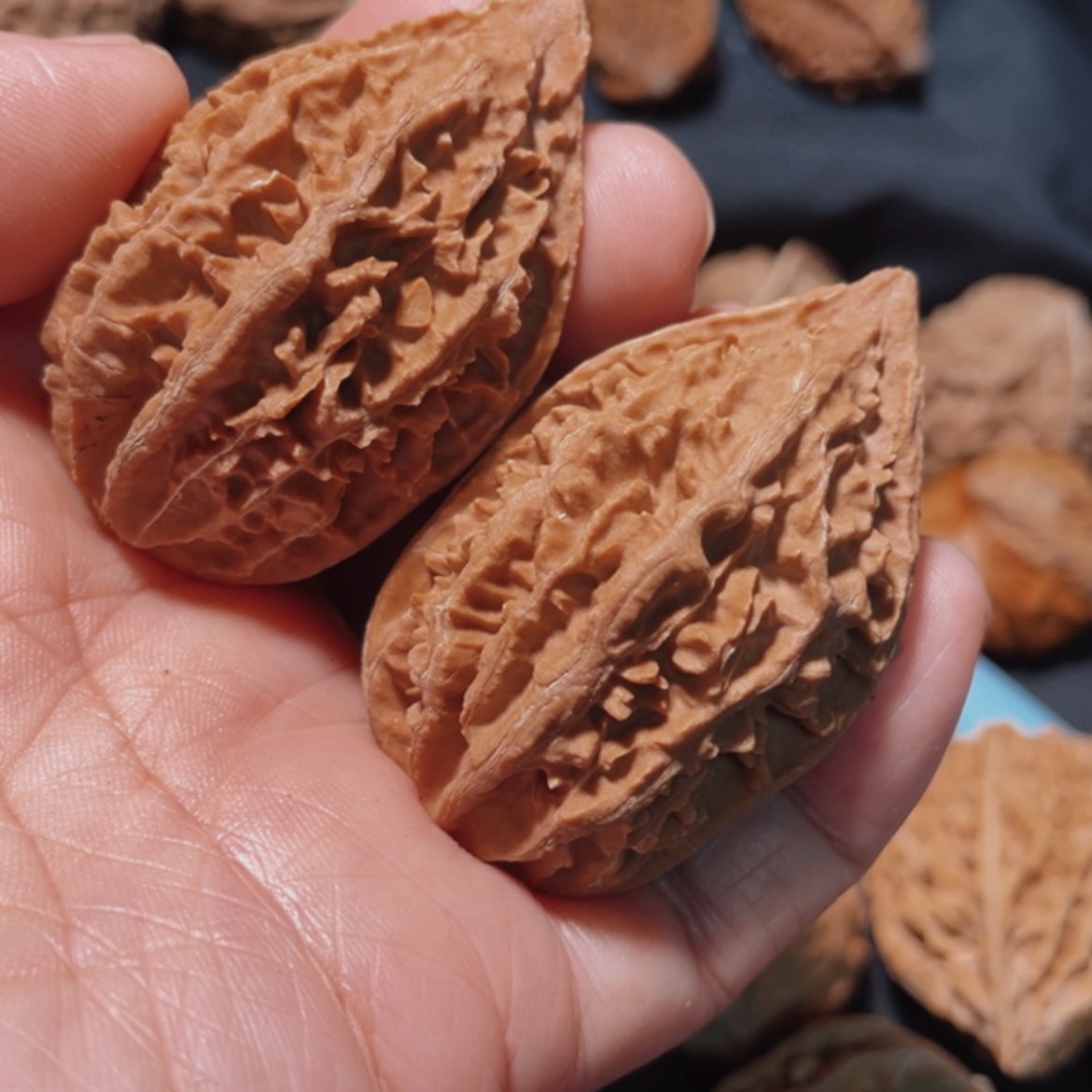 【闪购商品】文玩核桃把件用****3东北楸子20