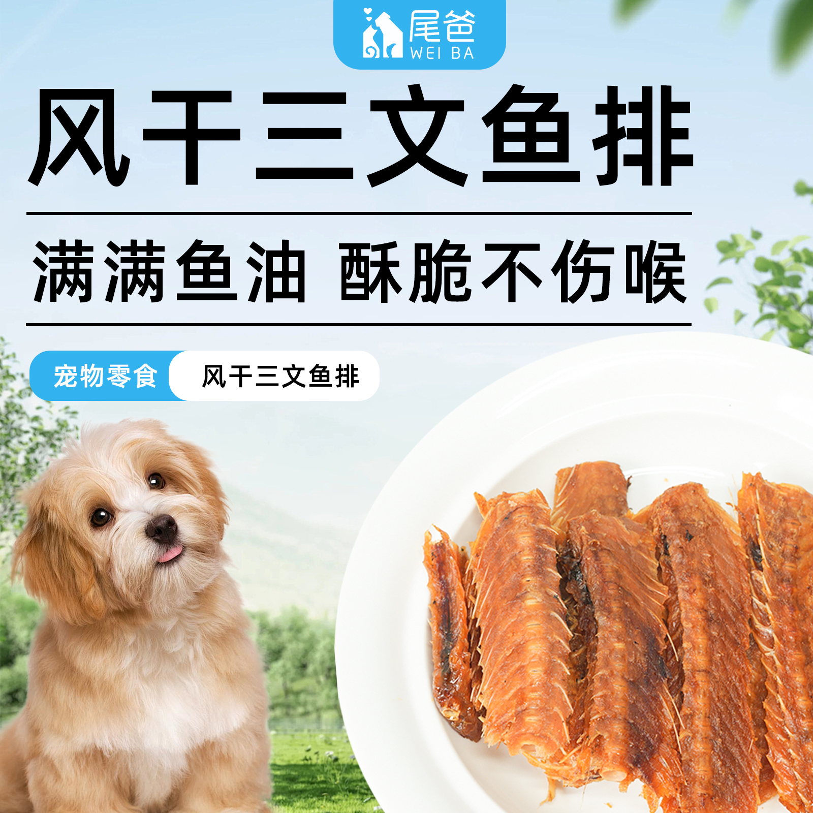 风干三文鱼排狗狗零食磨牙奖励训练鱼肉鱼油