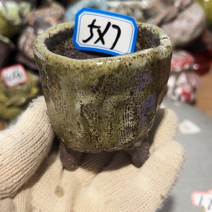 粗陶花盆制作就这样了，