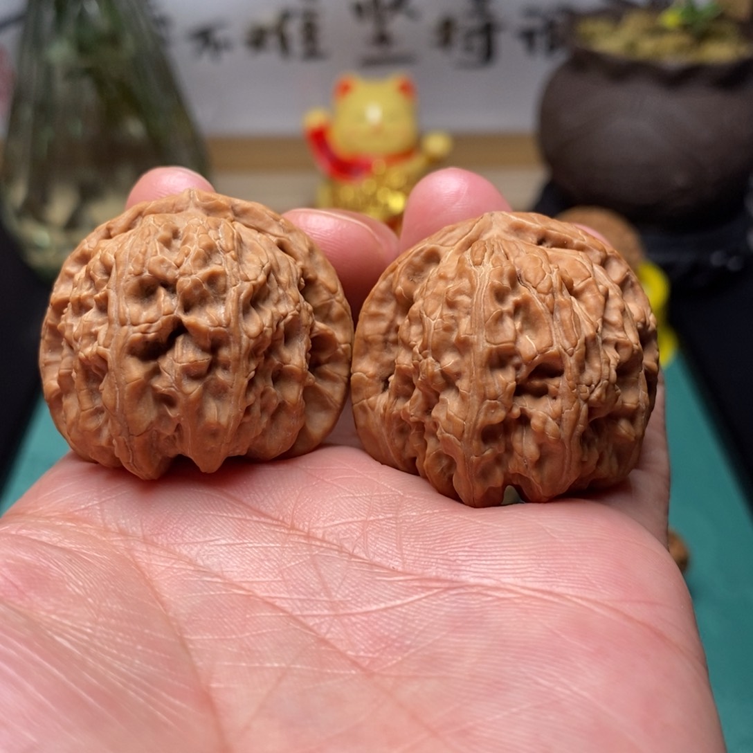 文玩核桃把件全品白狮子39.5