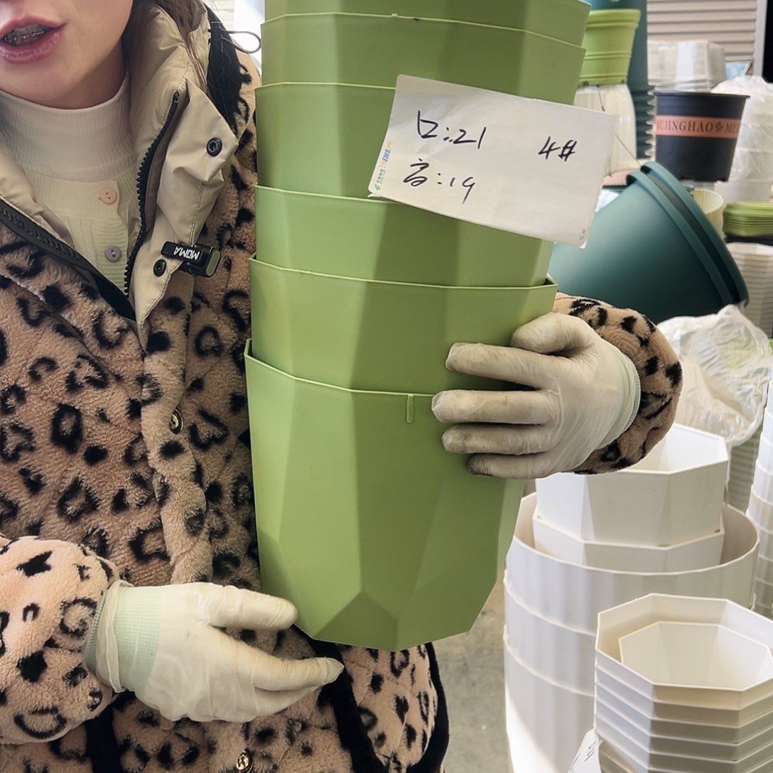 瑕疵雅典盆4#果绿6个无托