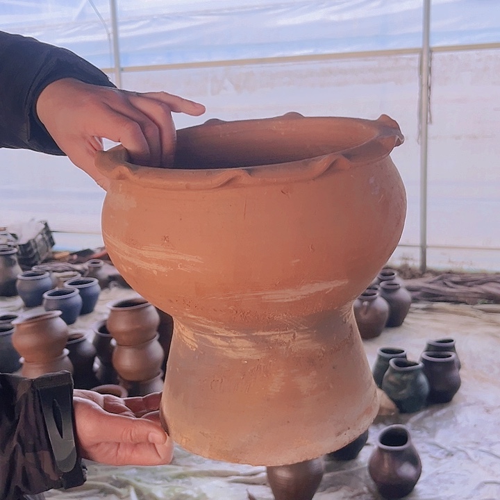 红陶212号24×25红瑕