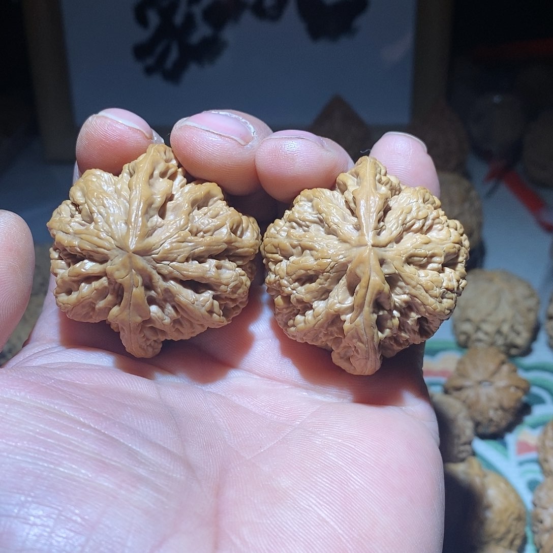 文玩核桃把件44平谷大粗筋