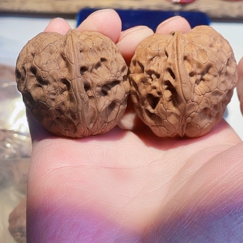 文玩核桃把件牡丹纹带彩39