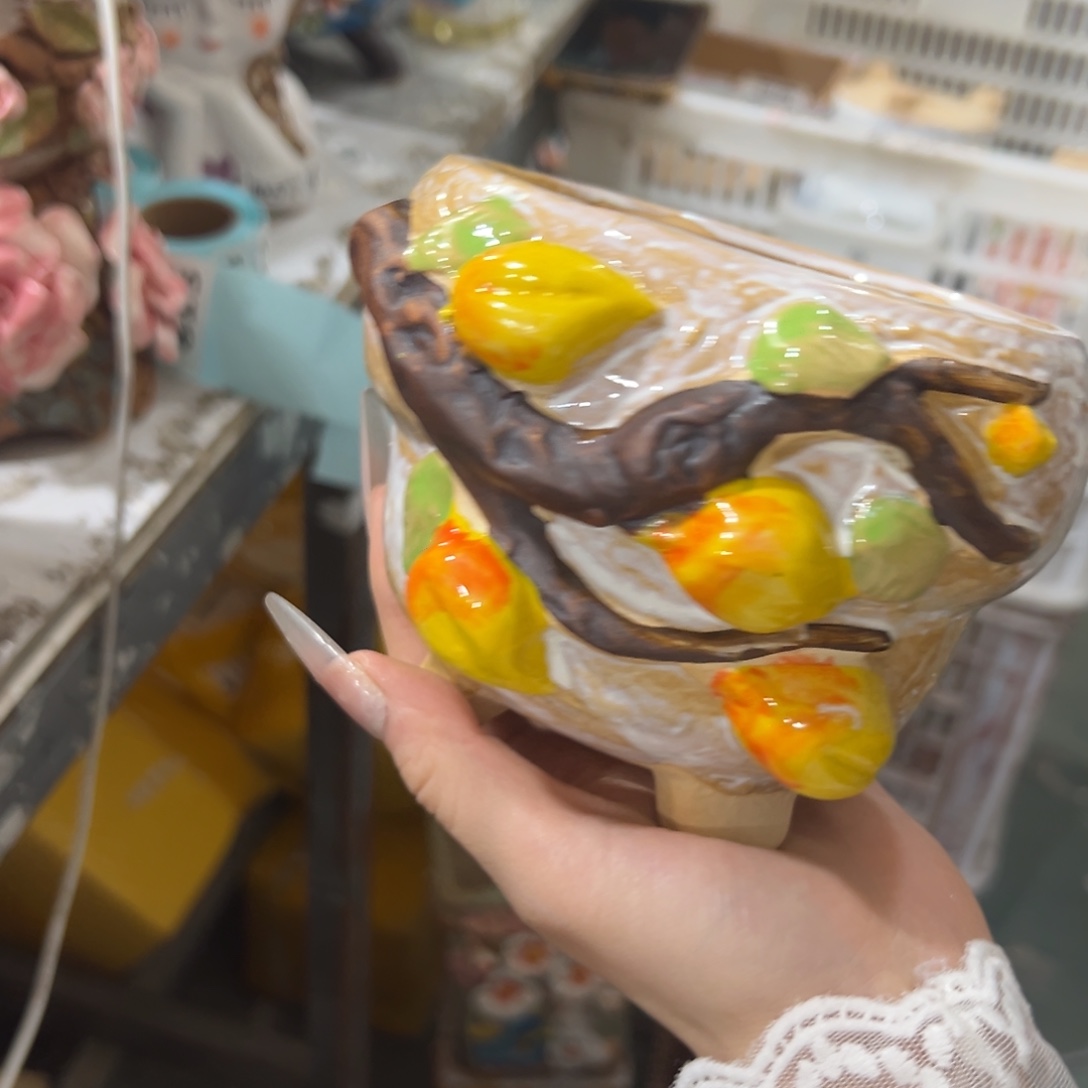 爱退拉黑多肉满20发货