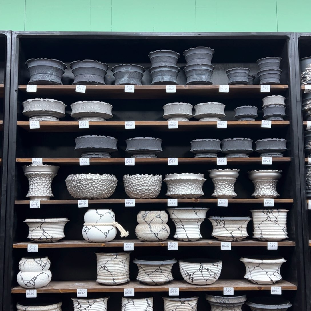 有喜欢的把编号打在公屏