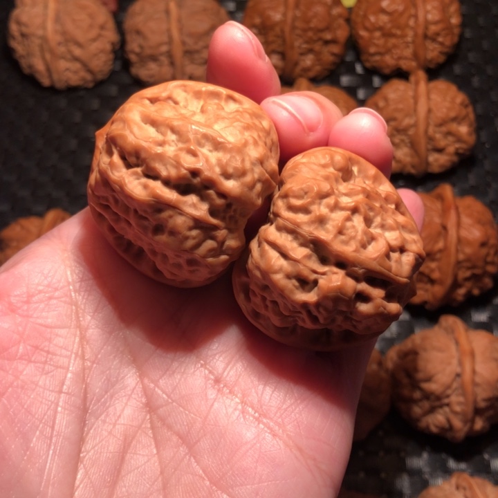 z***x文玩核桃把件蛤蟆40