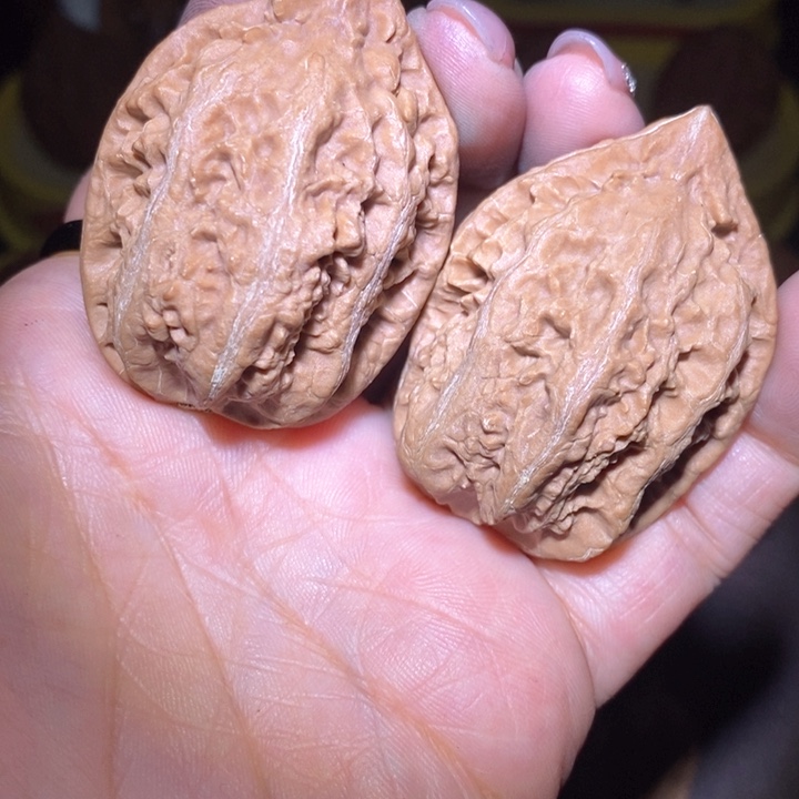 文玩核桃把件东北野生楸子小美127