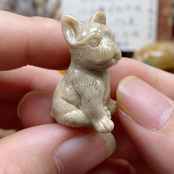 硅化珊瑚（珊瑚玉）颈饰未镶嵌