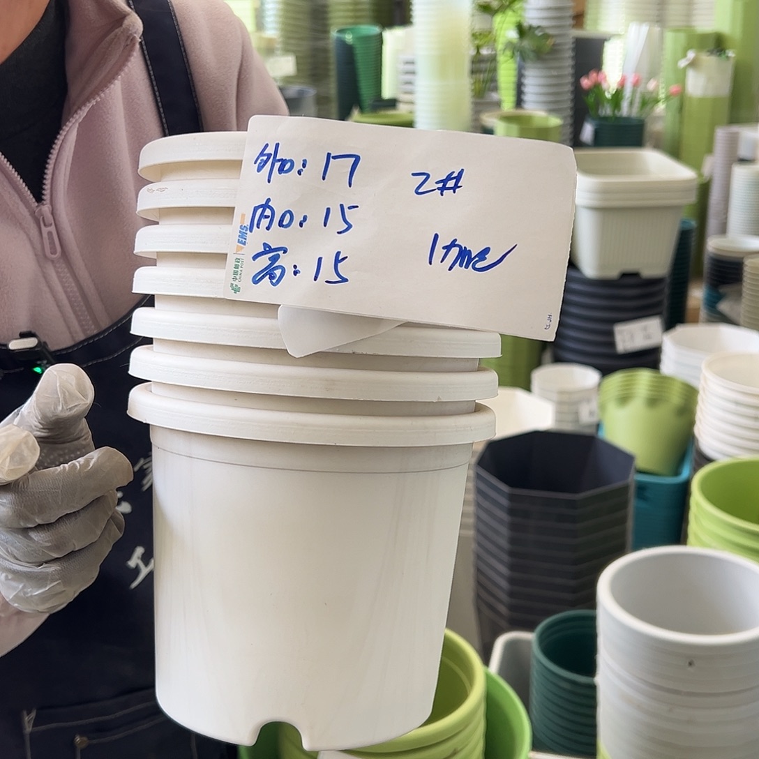 四季盆2#白色10个无托