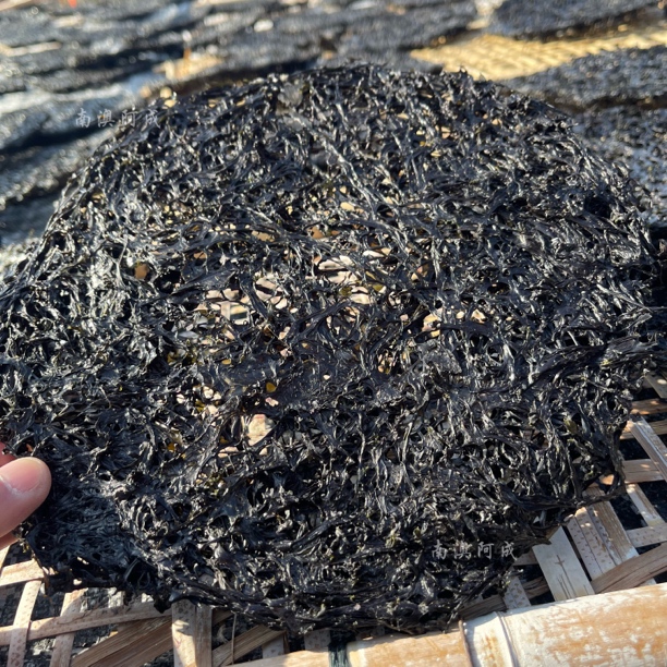 南澳二水紫菜 2025年二水中纯南澳岛紫菜 清甜爽口产地发货