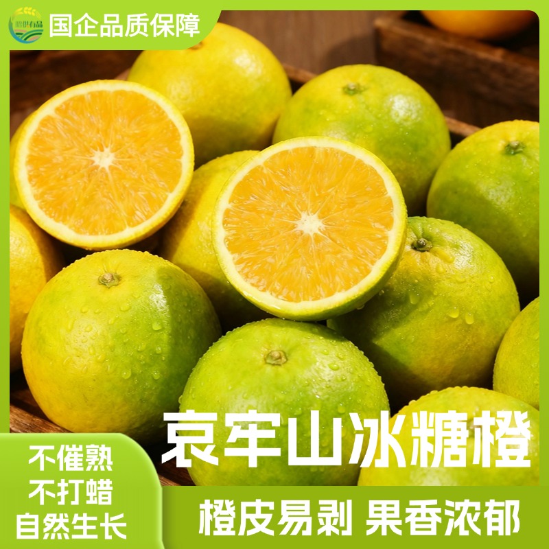 【昭供有品】云南哀牢山冰糖橙当季花斑青皮水果清甜多汁皮薄肉厚