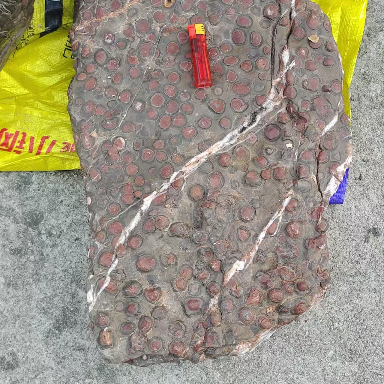 贵州奇石古铜石画画石红梅石各类化石珊瑚石贵州贵翠玉