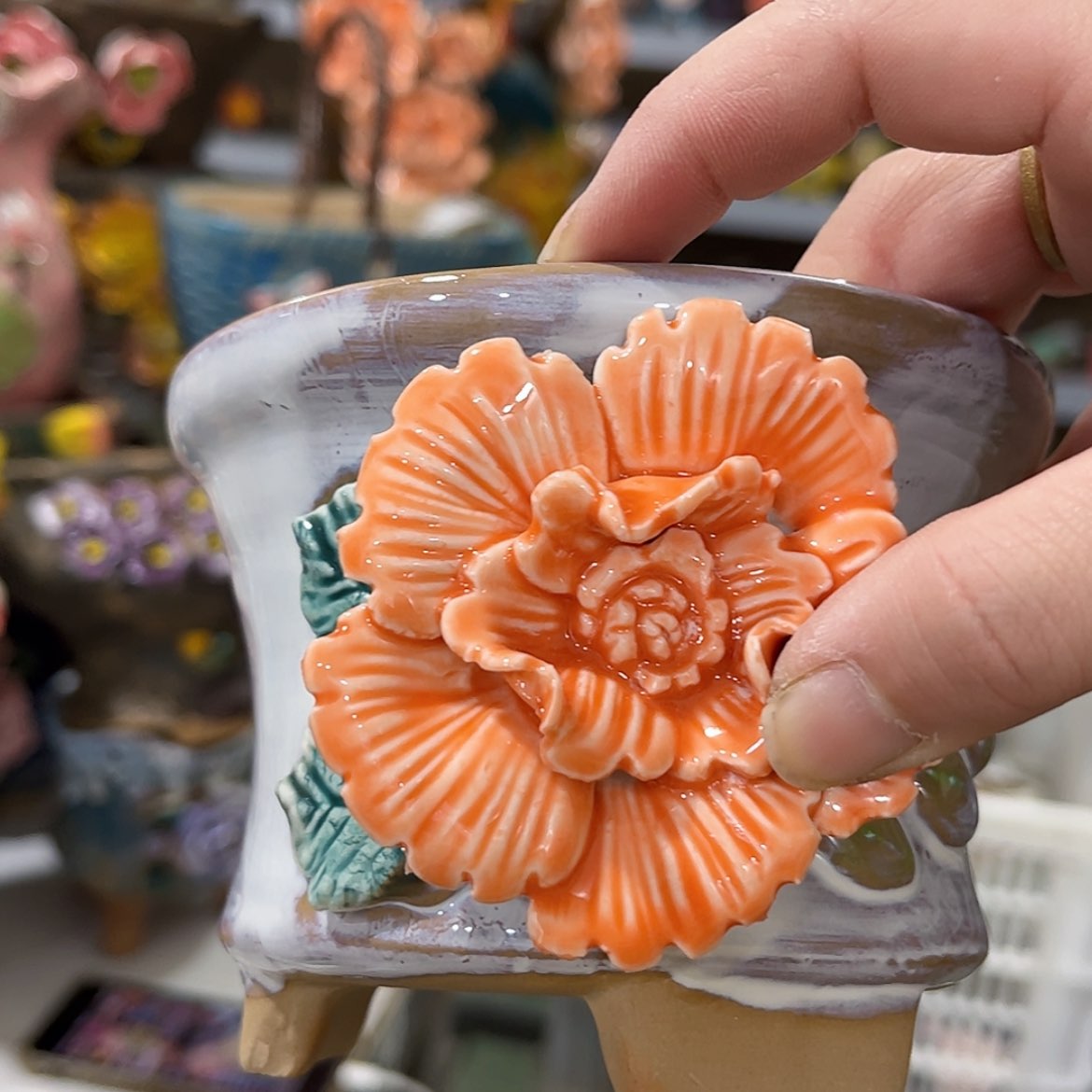 【闪购商品】红陶福利